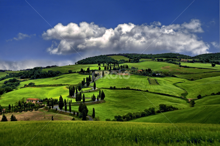 Land